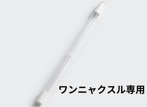 専用UVランプ
