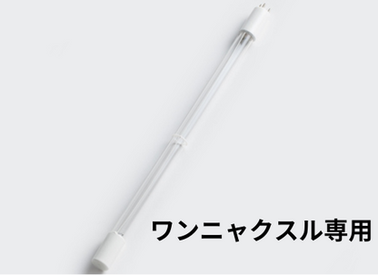 専用UVランプ