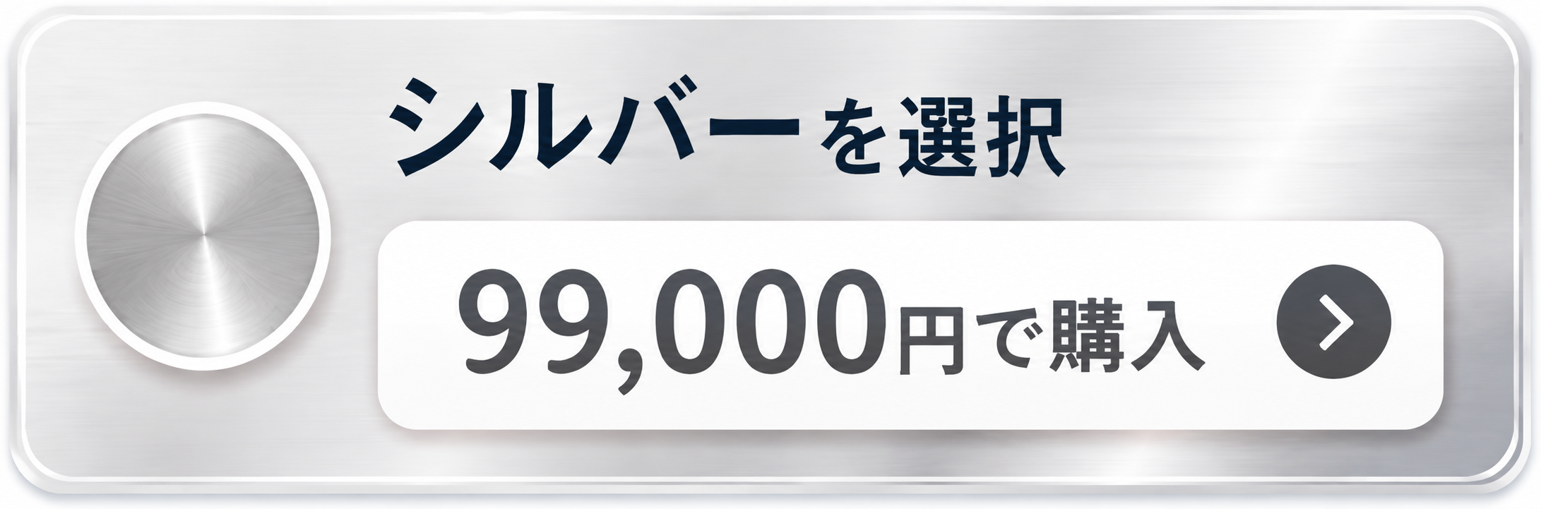 シルバーを選択して購入