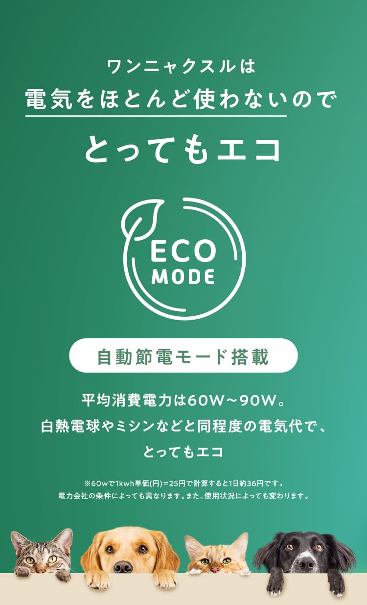 電気をほとんど使わないのでとってもエコ