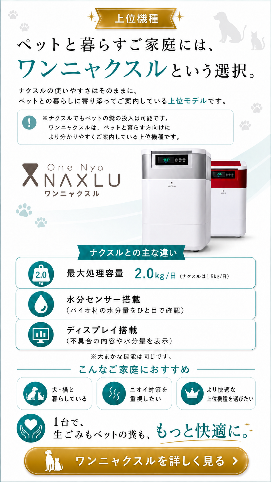 ワンニャクスルという選択。詳しく見る